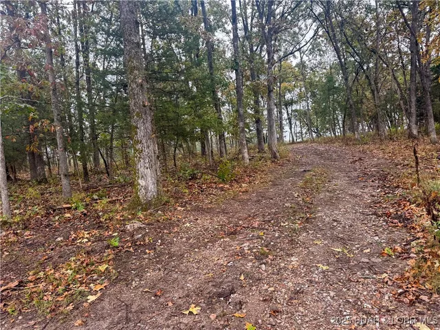 $798,150 | 159.63-acres 159.63-acres Highway, Versailles, MO 65084