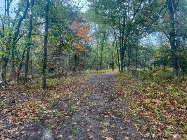 $798,150 | 159.63-acres 159.63-acres Highway, Versailles, MO 65084