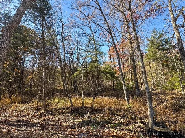 $798,150 | 159.63-acres 159.63-acres Highway, Versailles, MO 65084