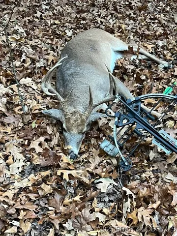 $798,150 | 159.63-acres 159.63-acres Highway, Versailles, MO 65084