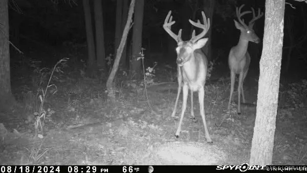 $798,150 | 159.63-acres 159.63-acres Highway, Versailles, MO 65084