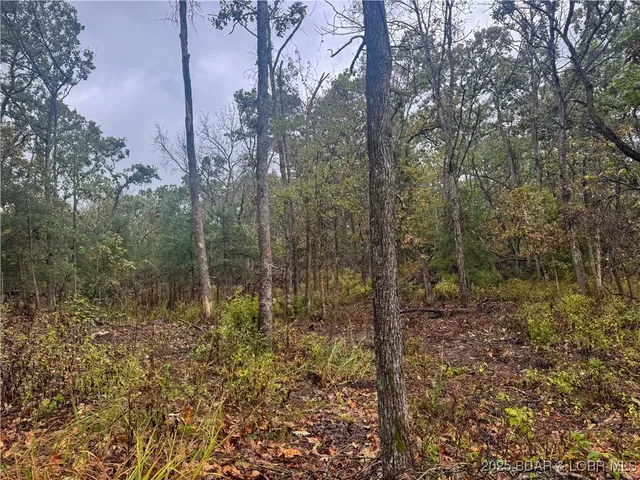 $798,150 | 159.63-acres 159.63-acres Highway, Versailles, MO 65084