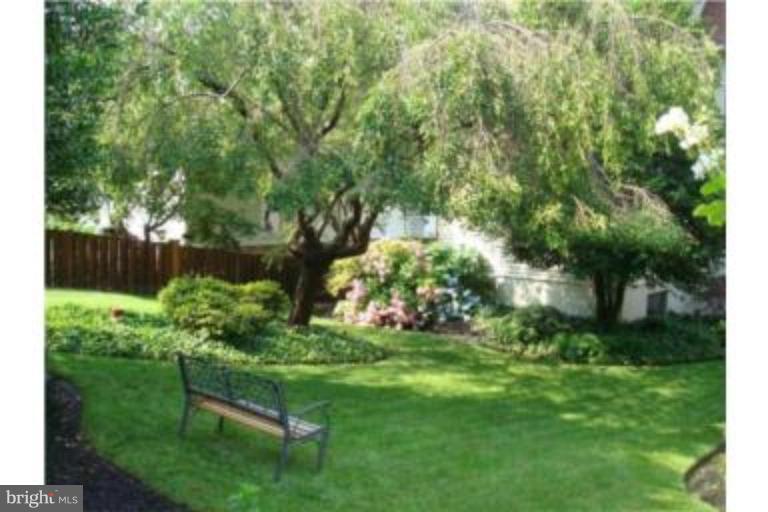 1180 River Bay Road Annapolis, MD 21409 - Photo 4 of 21 Back yard