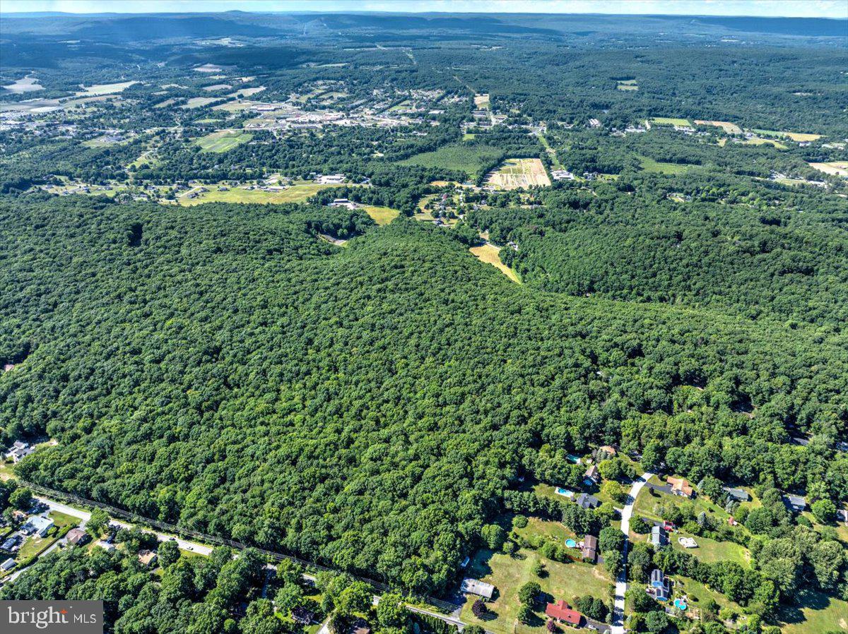 Blue Ridge Road Saylorsburg, PA 18353 - Photo 11 of 18