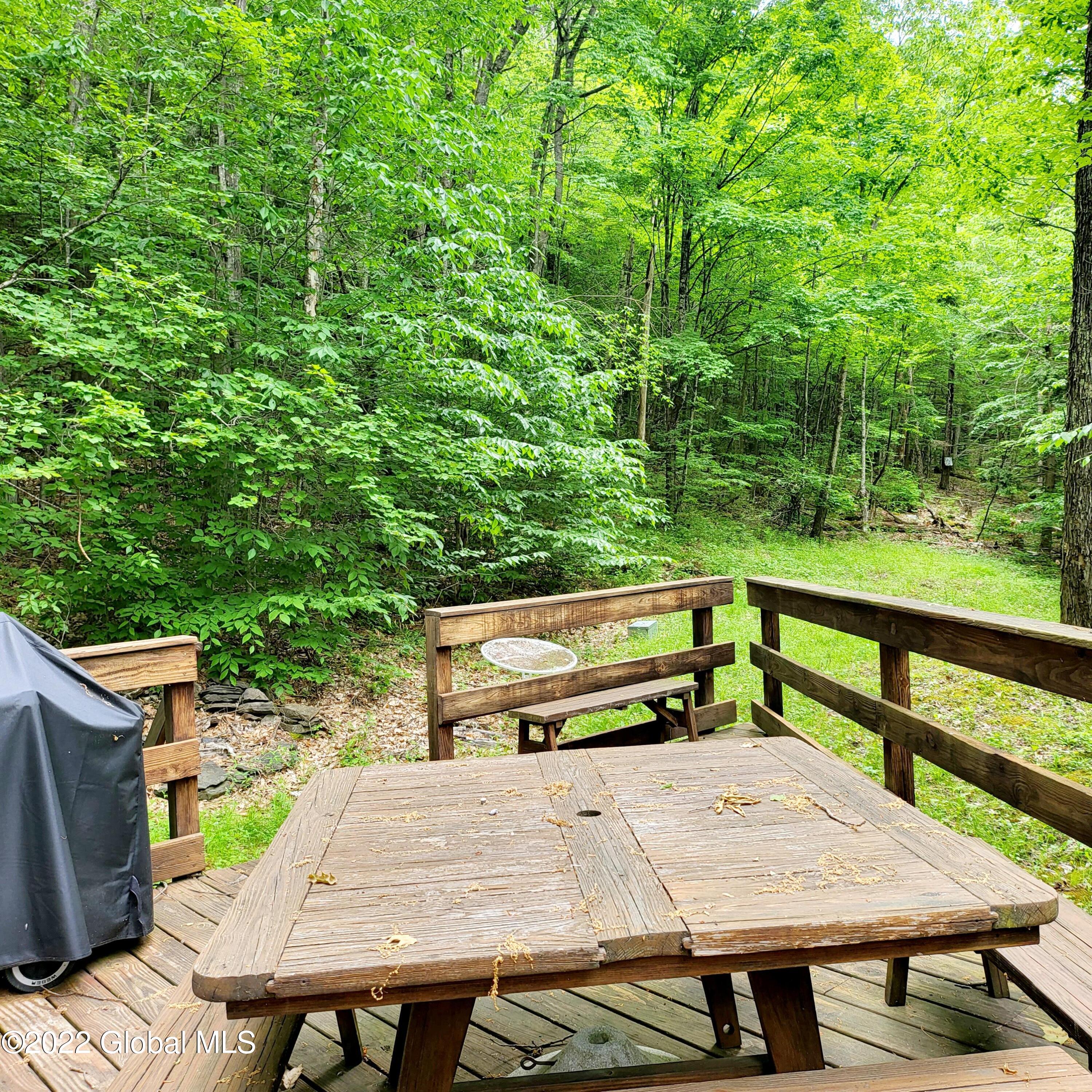 1083 West Kill Road Blenheim, NY 12093 - Photo 14 of 23 20220606_110222