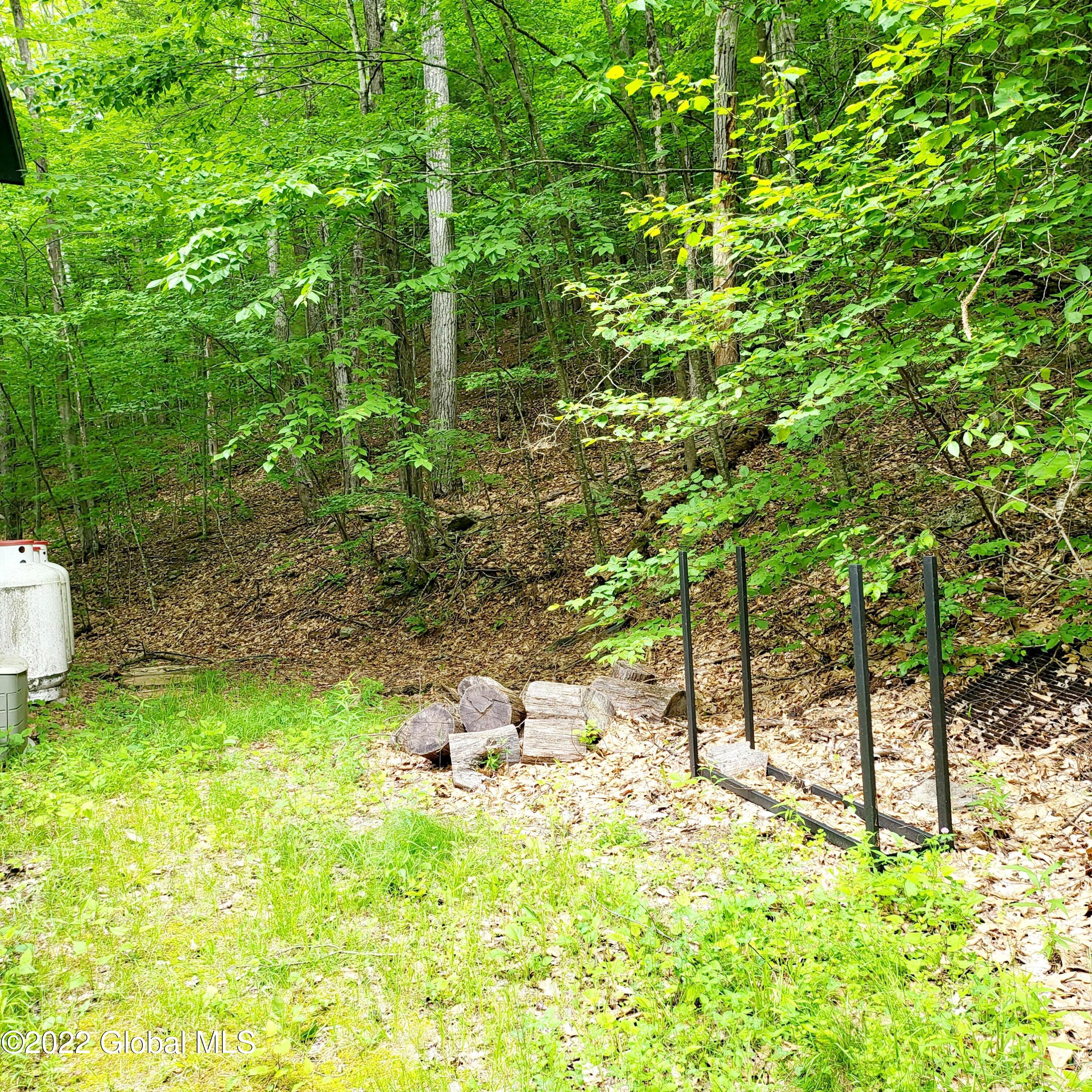 1083 West Kill Road Blenheim, NY 12093 - Photo 16 of 23 20220606_104311