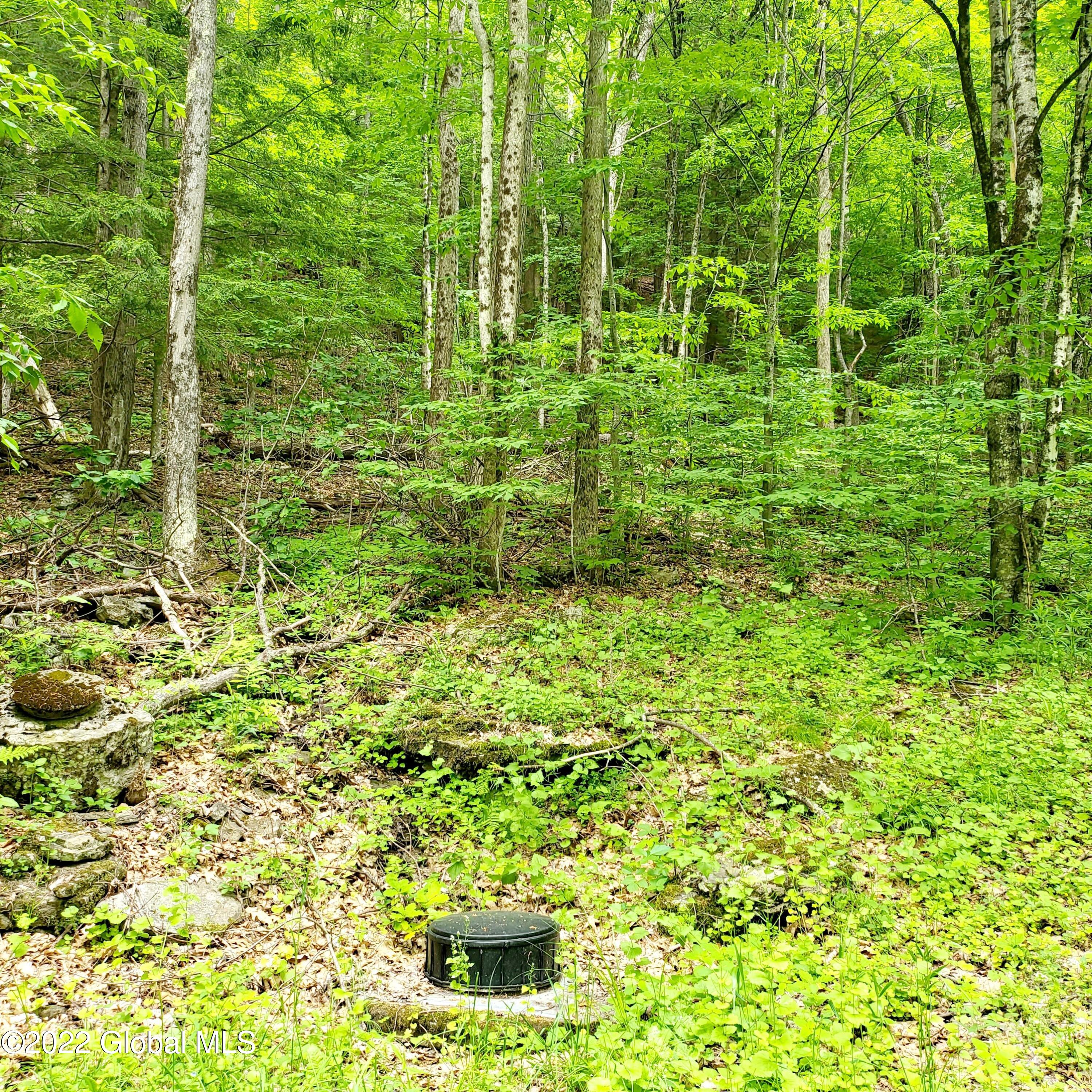 1083 West Kill Road Blenheim, NY 12093 - Photo 17 of 23 20220606_104330