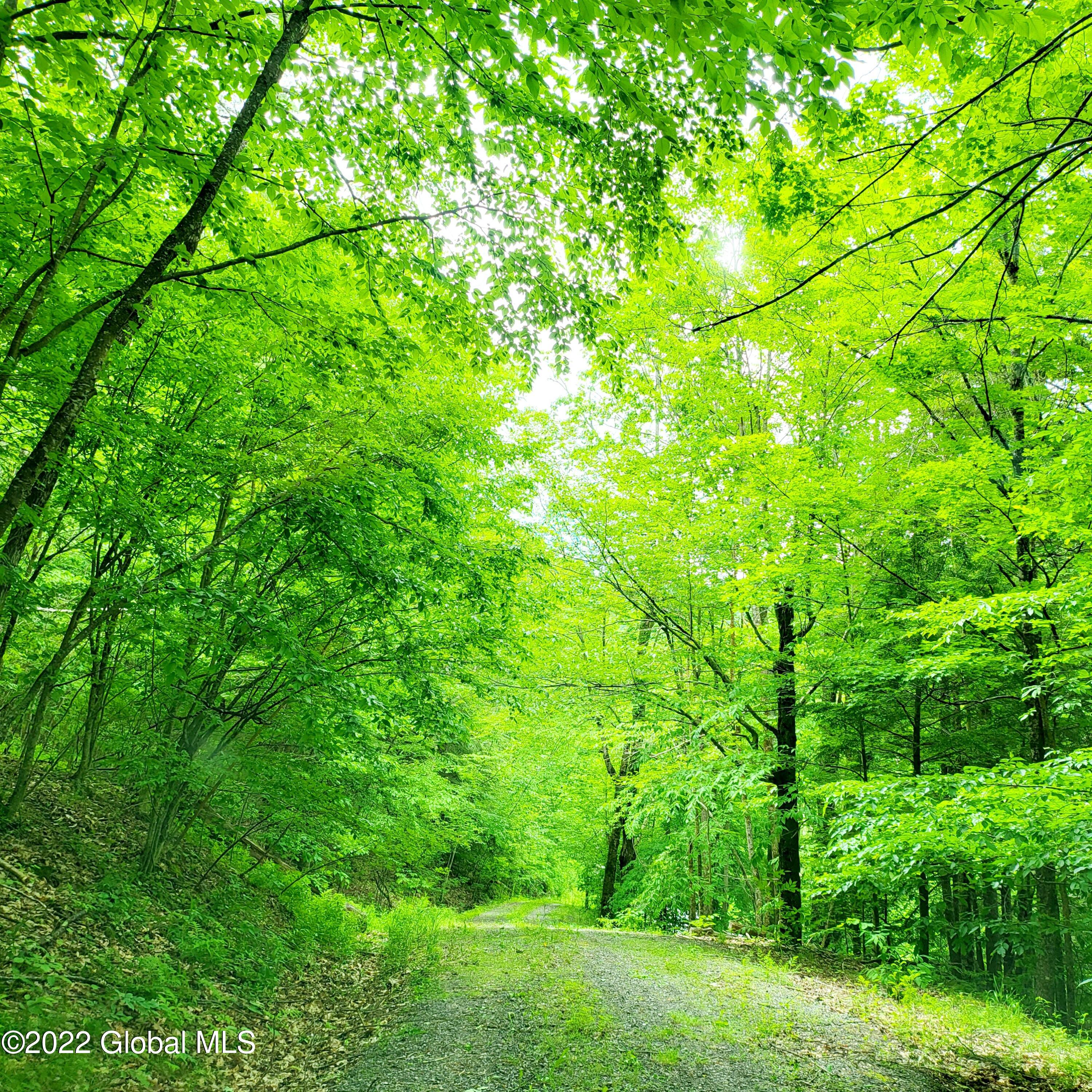 1083 West Kill Road Blenheim, NY 12093 - Photo 20 of 23 20220606_110858