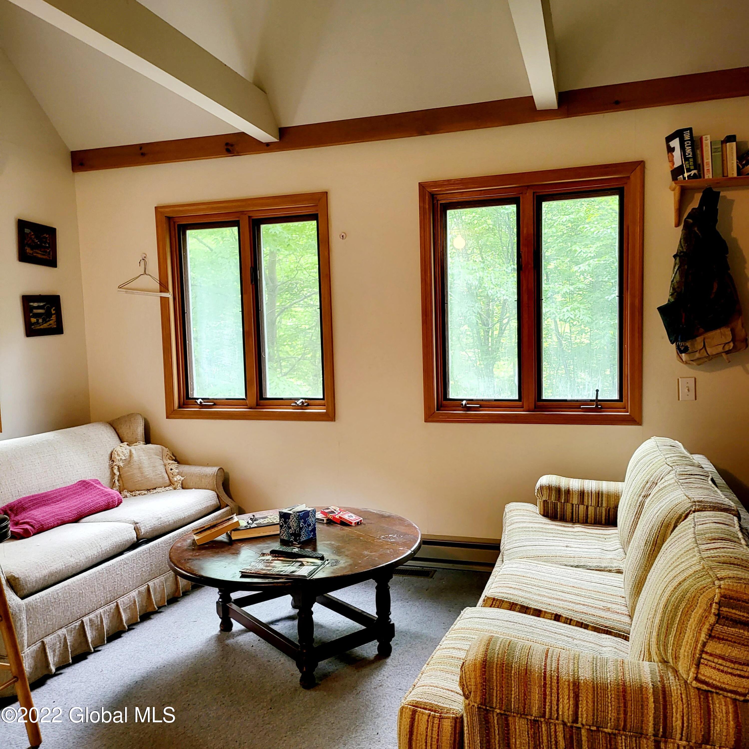 1083 West Kill Road Blenheim, NY 12093 - Photo 3 of 23 20220606_105531