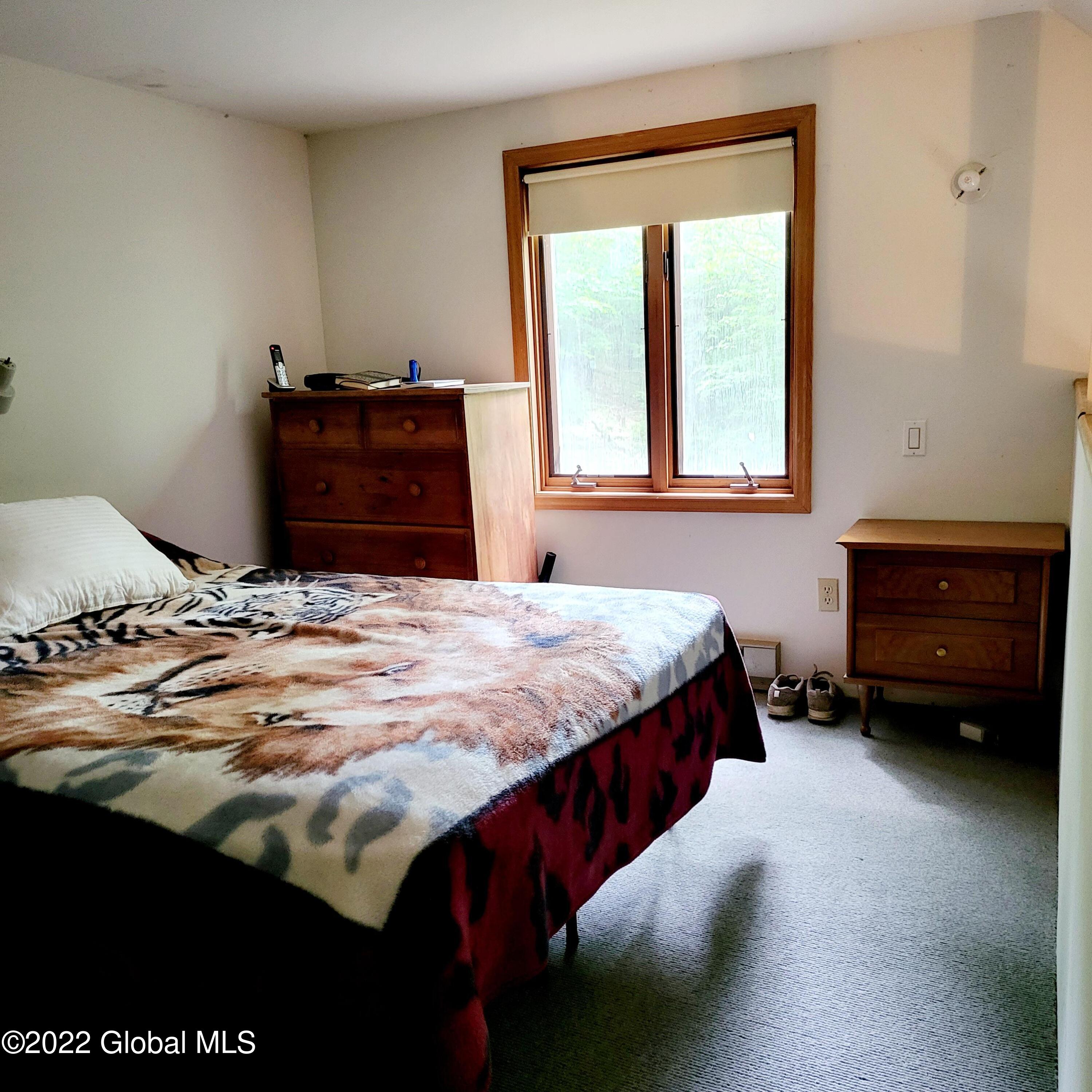 1083 West Kill Road Blenheim, NY 12093 - Photo 8 of 23 20220606_105927