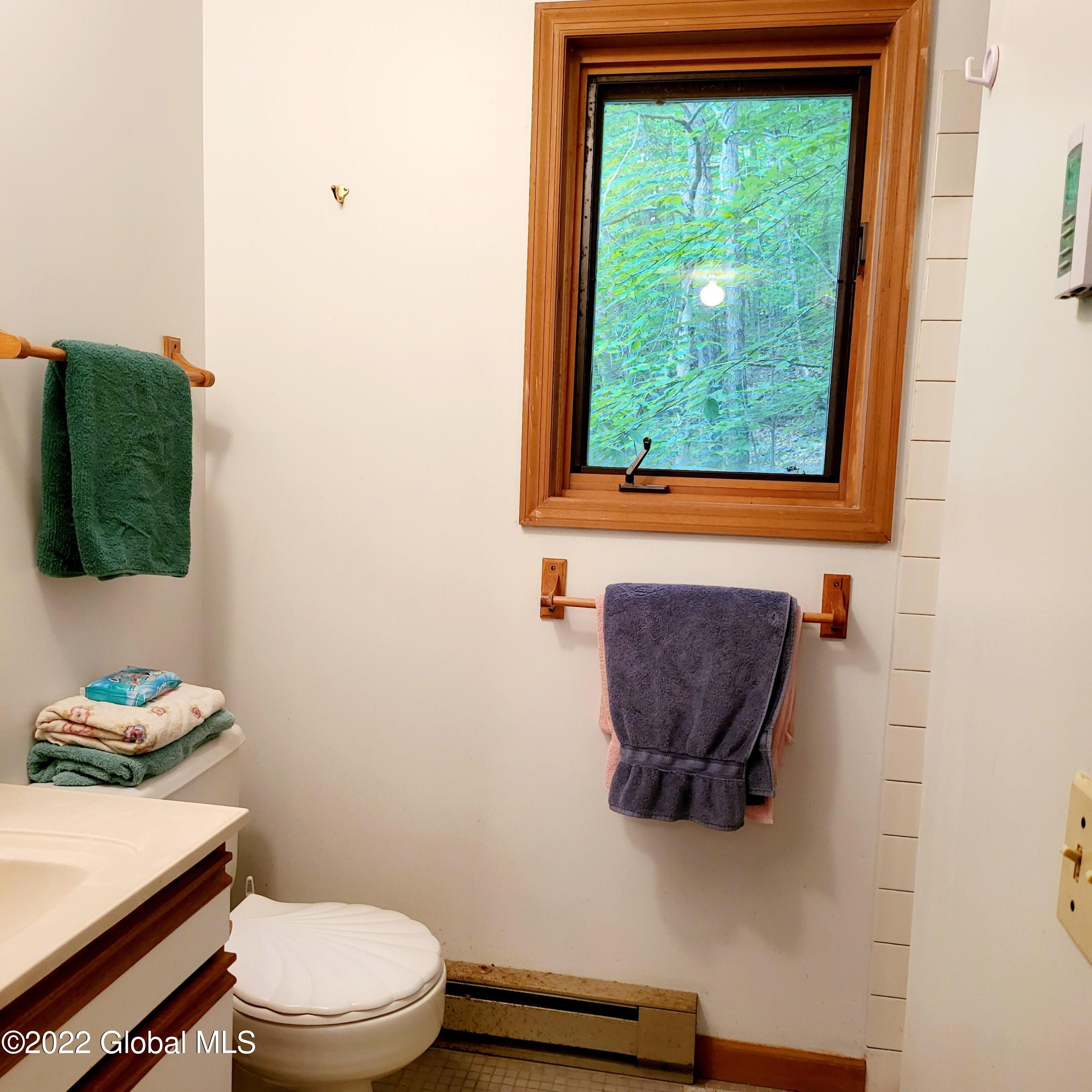 1083 West Kill Road Blenheim, NY 12093 - Photo 10 of 23 20220606_104756