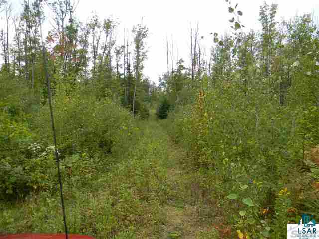 0 East County Rd L Lake Nebagamon, WI 54849 - Photo 1 of 1