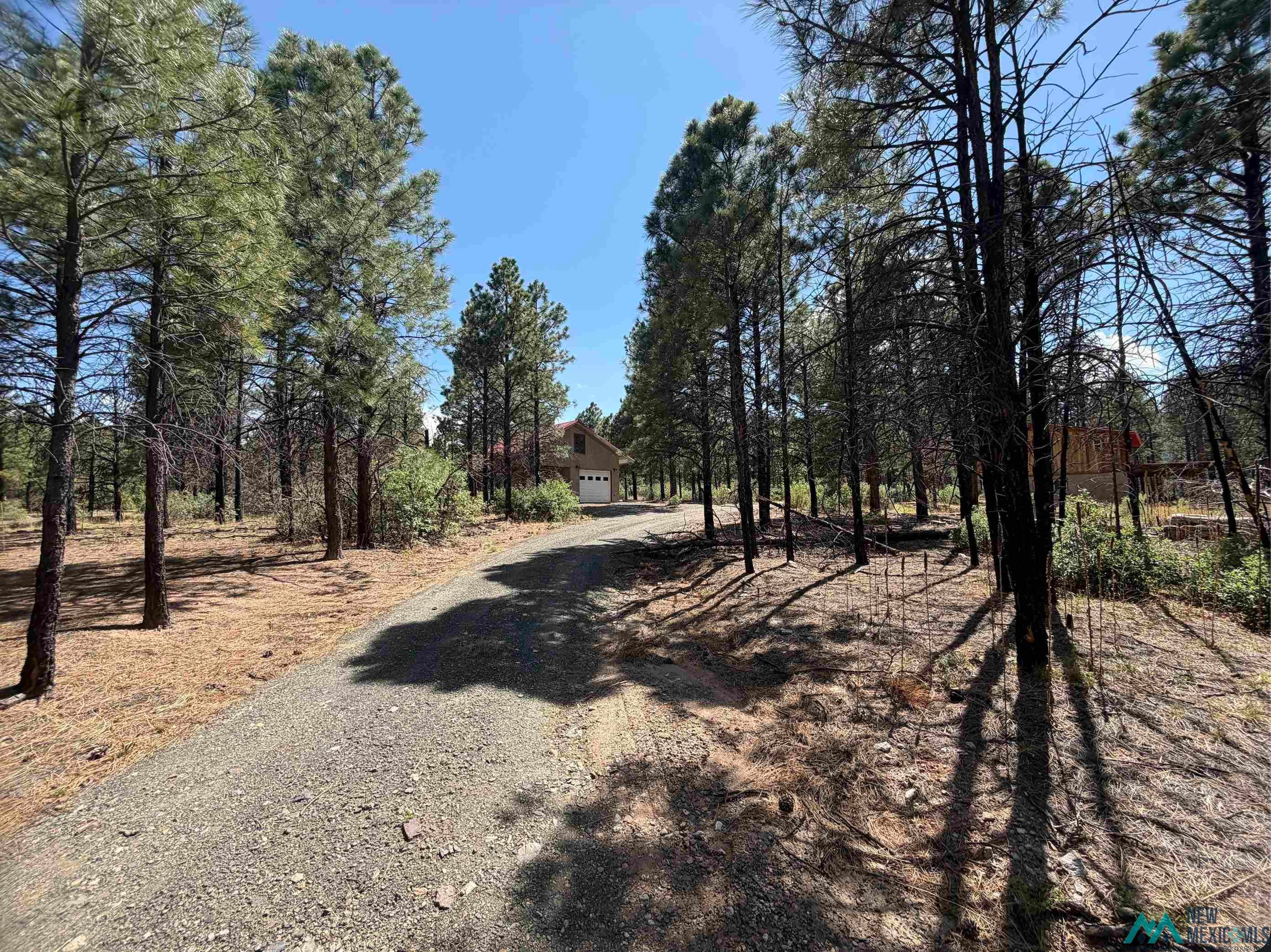 476 A18a County Road Las Vegas, NM 87701 - Photo 17 of 26 Gallery Image 17