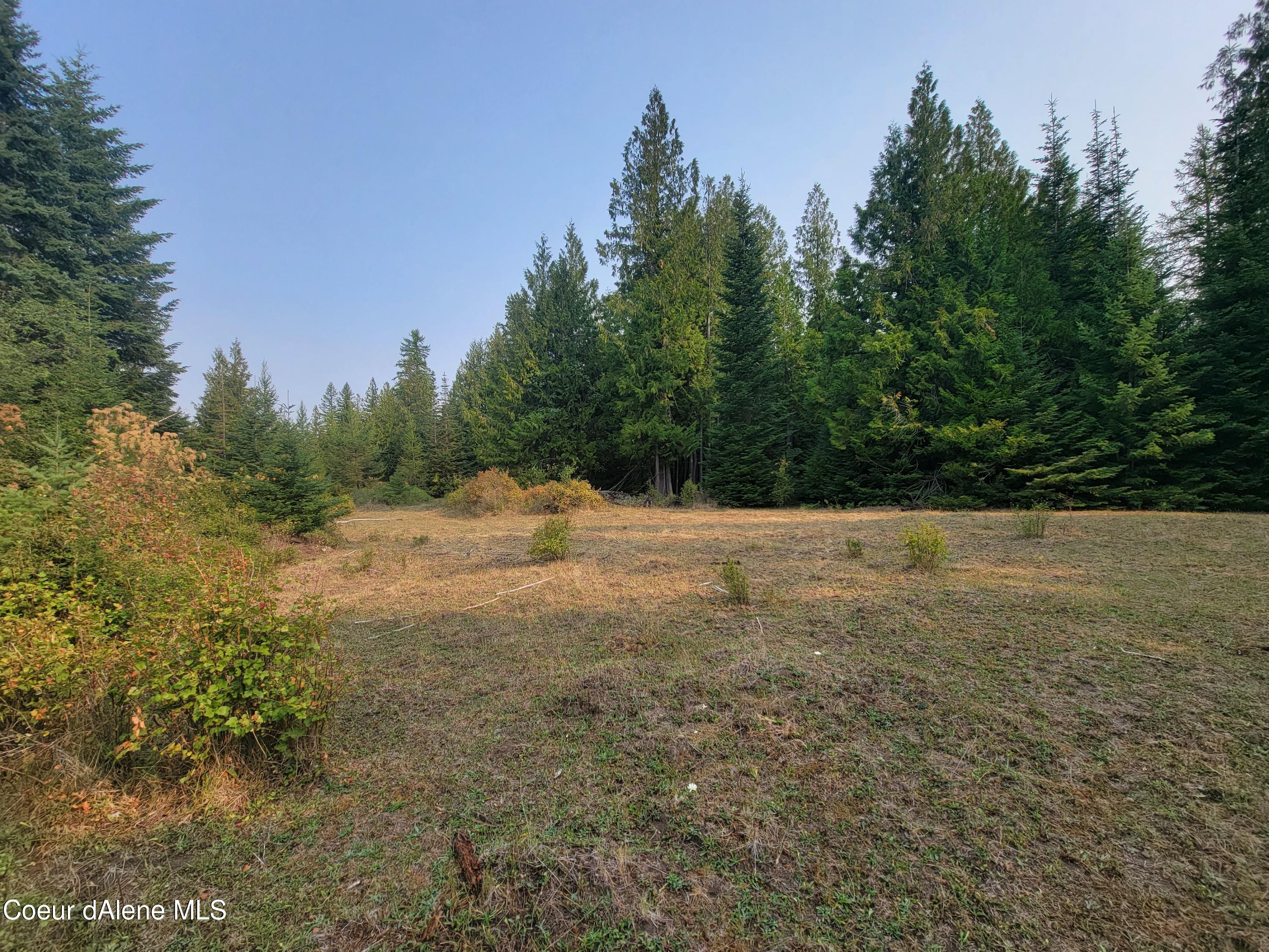 20-5 East Bell Canyon Road Harrison, ID 83833 - Photo 1 of 1 20210806_091102