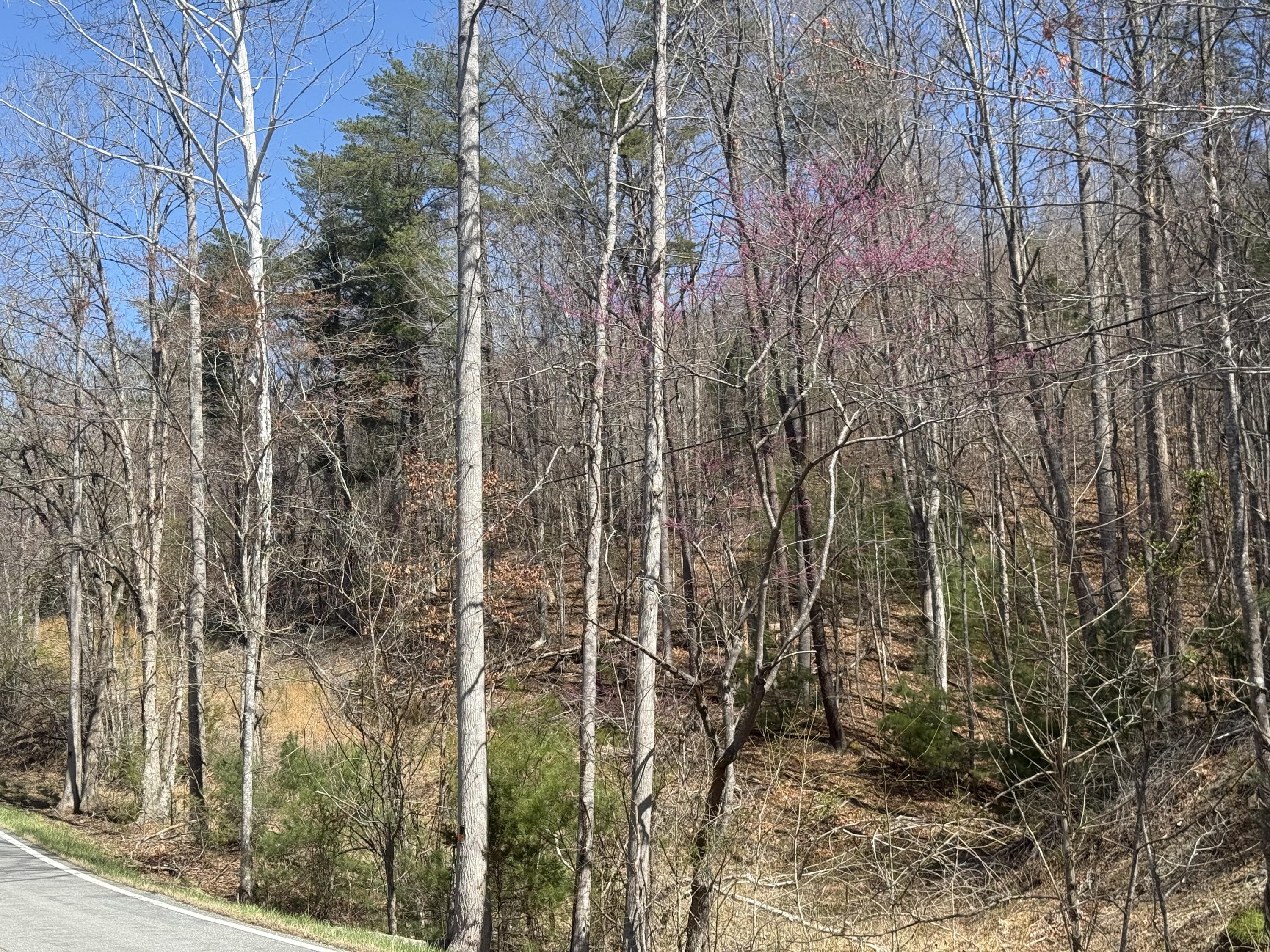 0 Narrow Passage Road Eagle Rock, VA 24085 - Photo 20 of 23 IMG_2028(1)