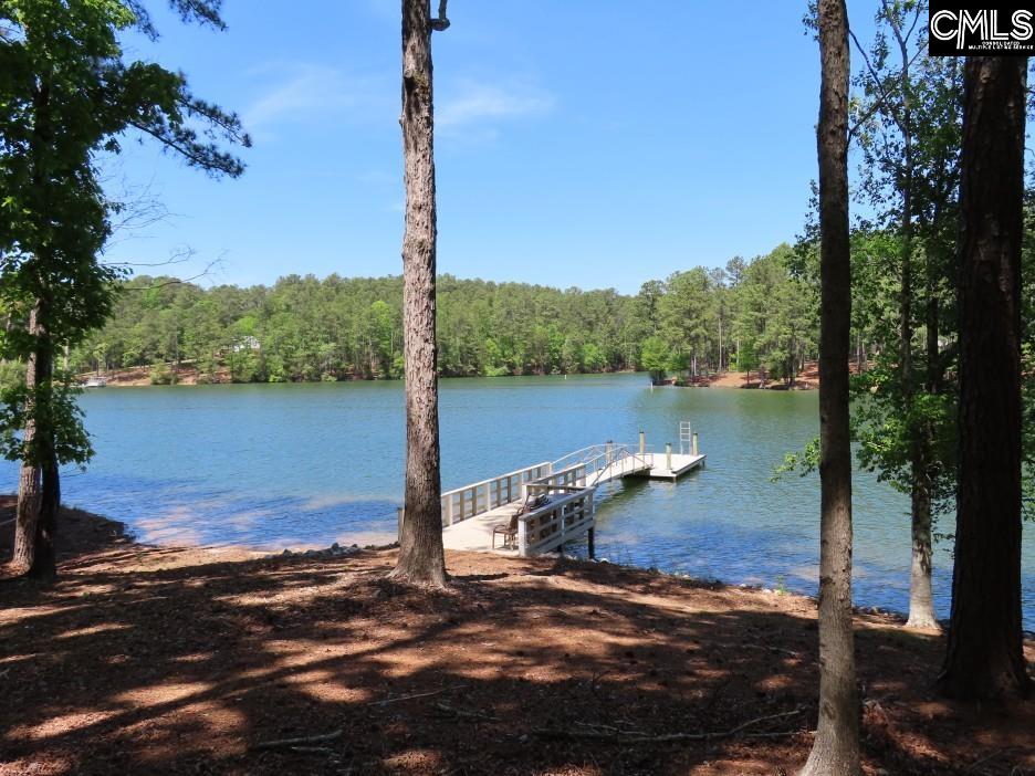 201 State Rd S-20-99 Blair, SC 29015 - Photo 22 of 61