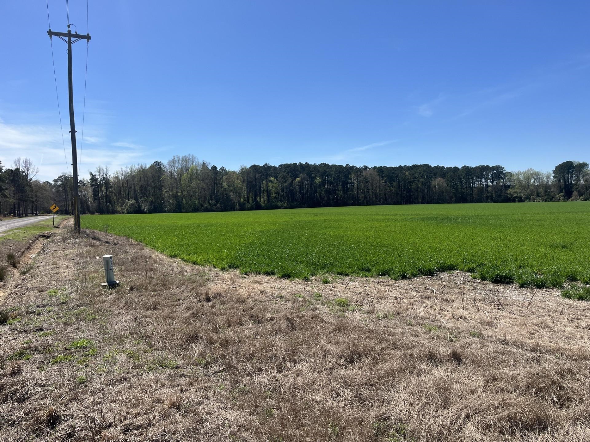 Salem Road Bennettsville, SC 29512 - Photo 11 of 12