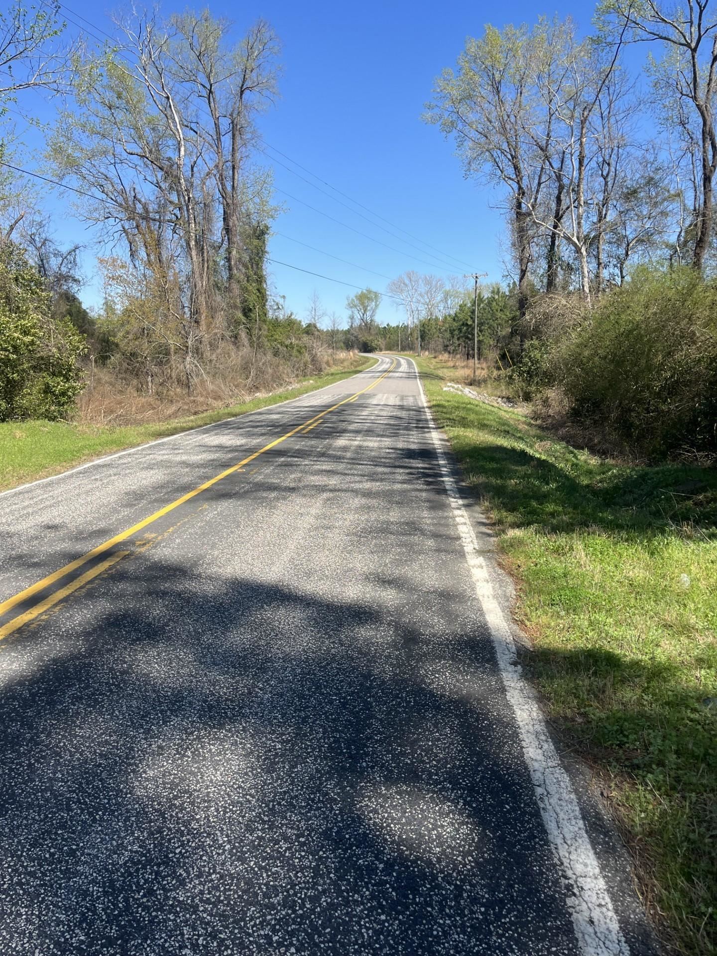 Salem Road Bennettsville, SC 29512 - Photo 3 of 12