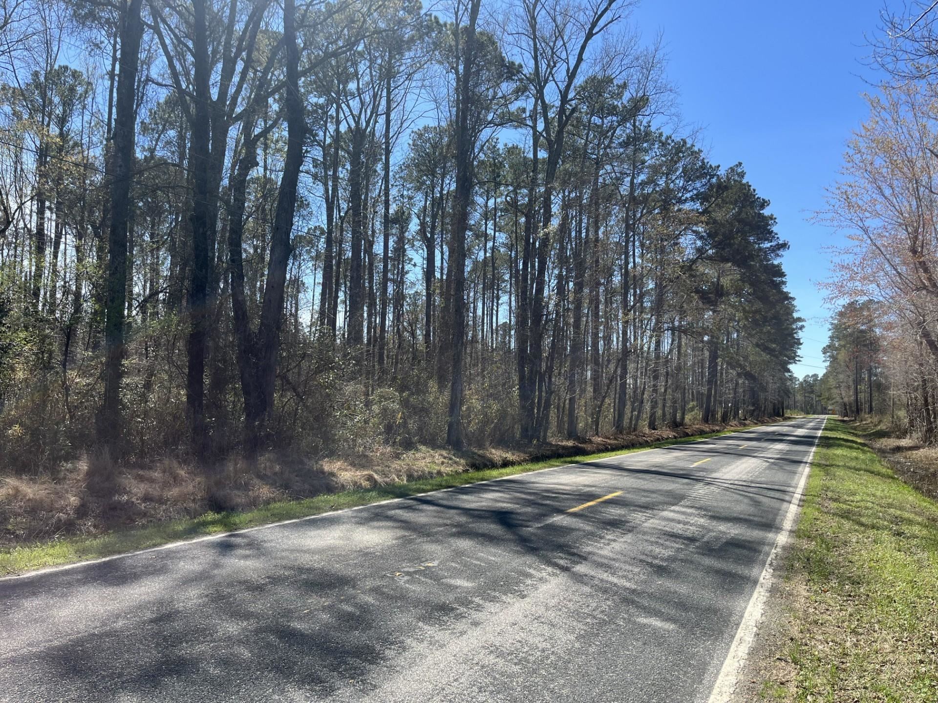 Salem Road Bennettsville, SC 29512 - Photo 5 of 12