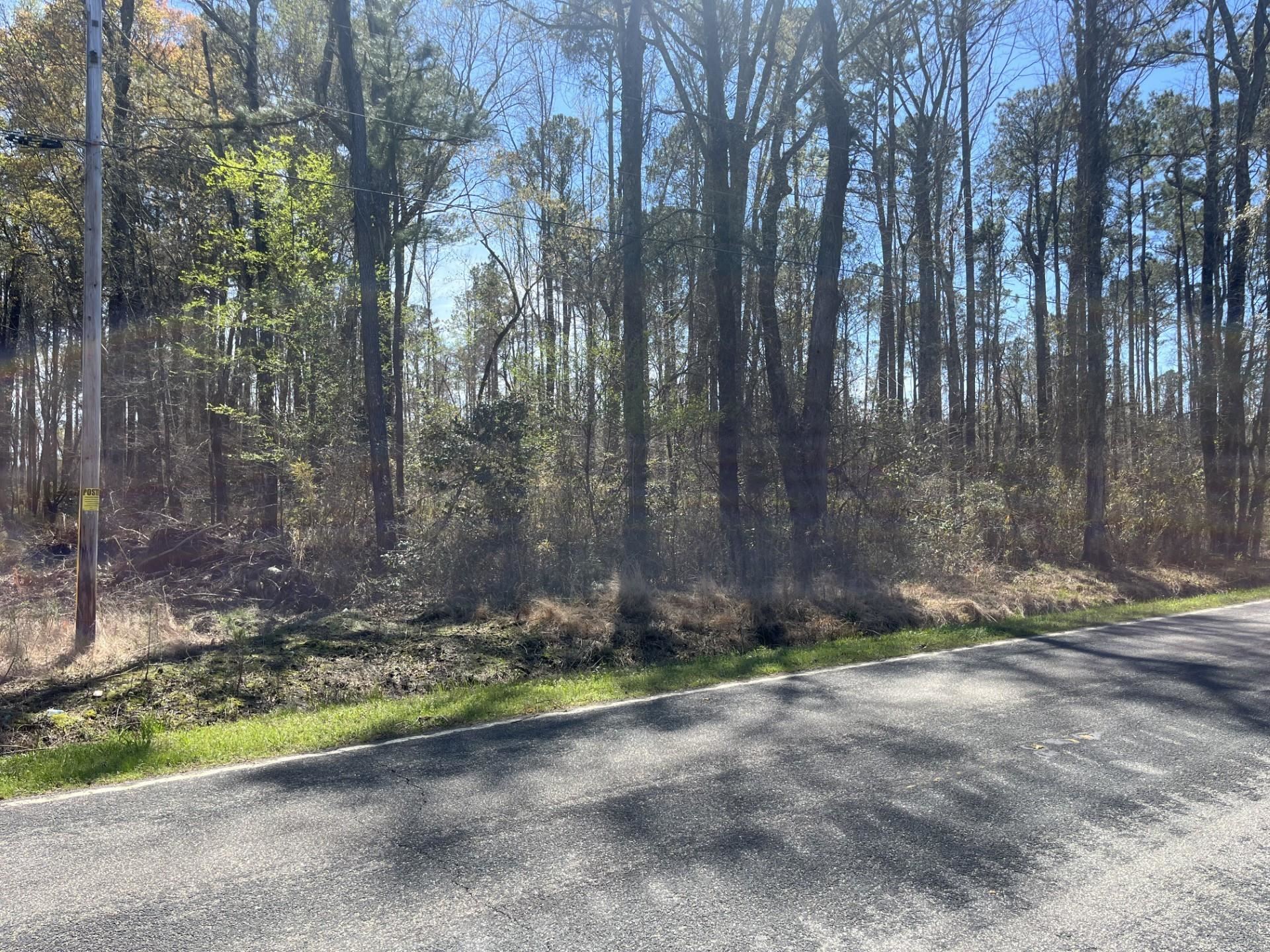 Salem Road Bennettsville, SC 29512 - Photo 6 of 12