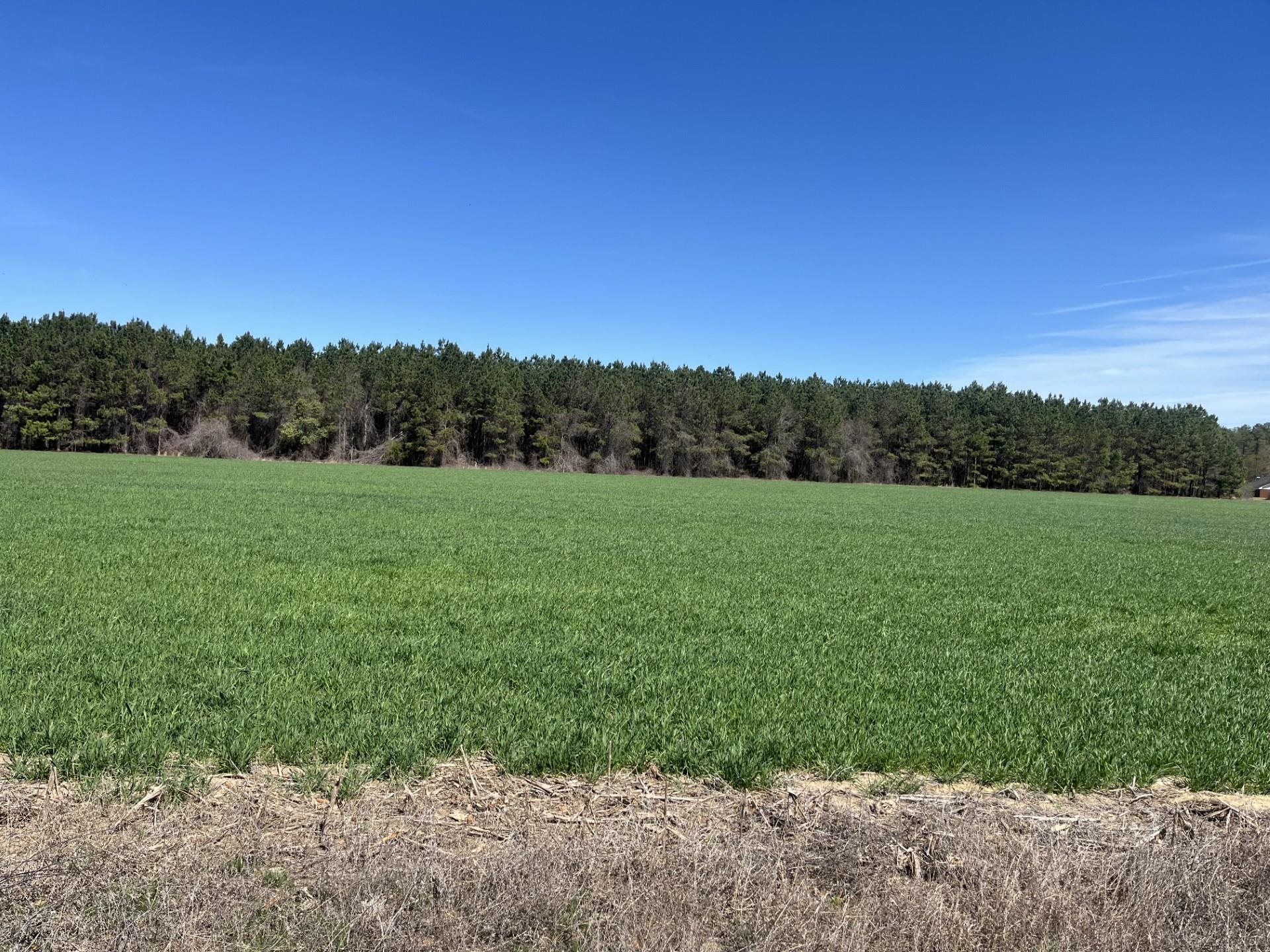 Salem Road Bennettsville, SC 29512 - Photo 7 of 12