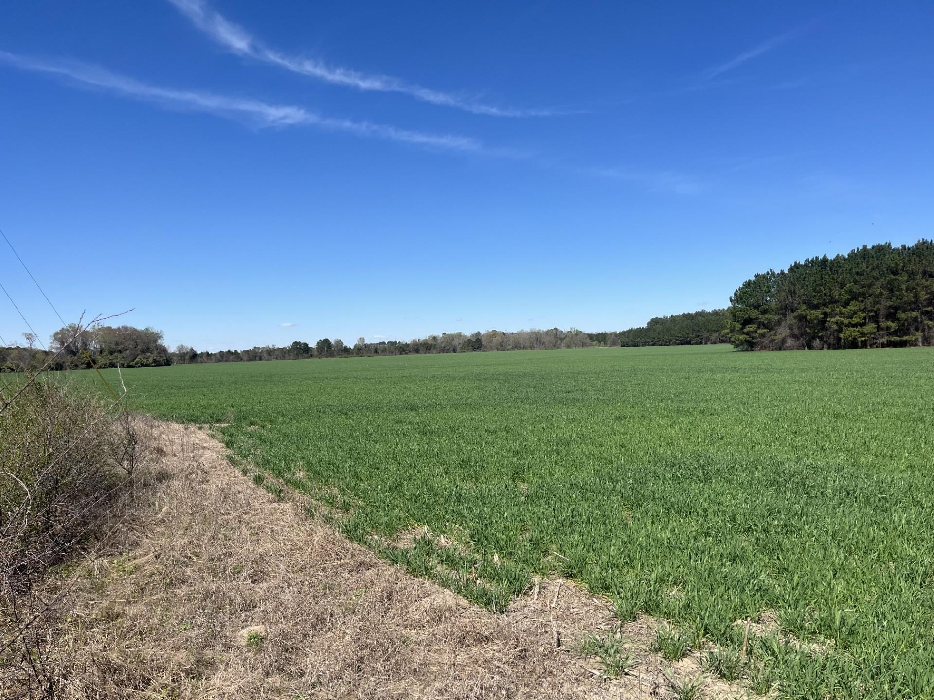 Salem Road Bennettsville, SC 29512 - Photo 8 of 12