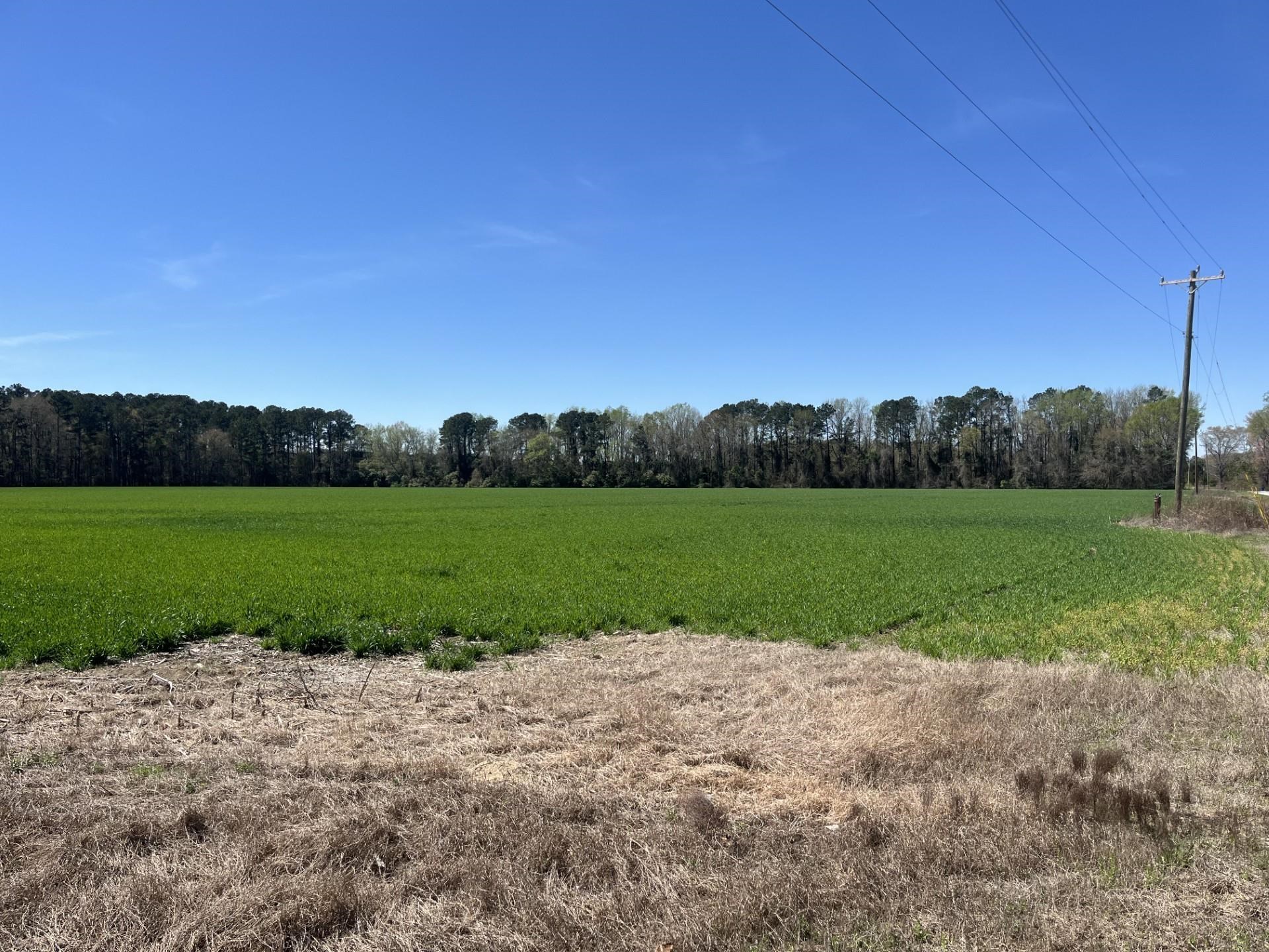 Salem Road Bennettsville, SC 29512 - Photo 10 of 12