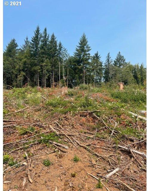 0 Northeast Lucia Falls Road, Unit 1 Battle Ground, WA 98604 - Photo 1 of 4 Gallery Image 1