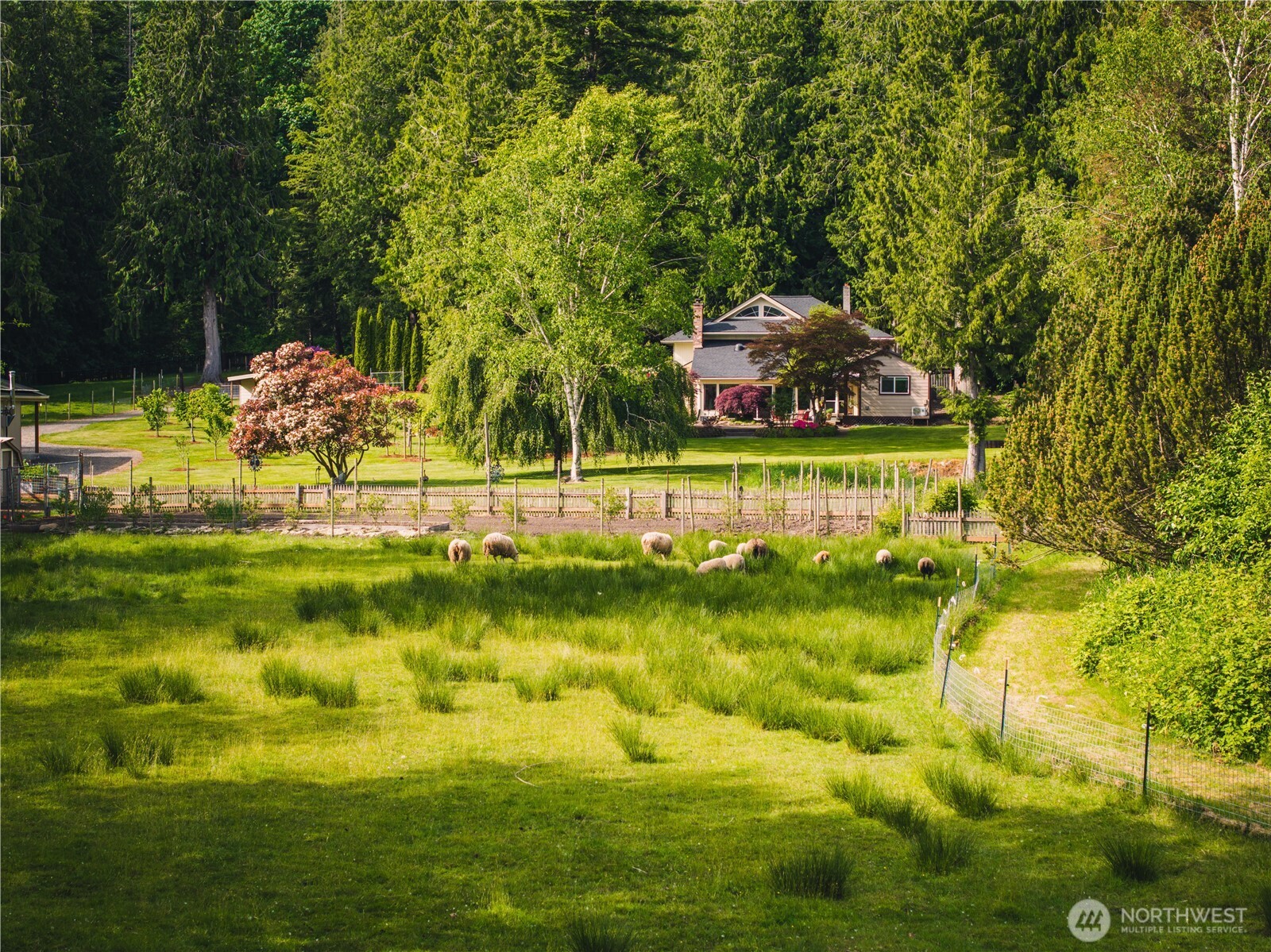 5363 Reese Hill Road Sumas, WA 98295 - Photo 38 of 40