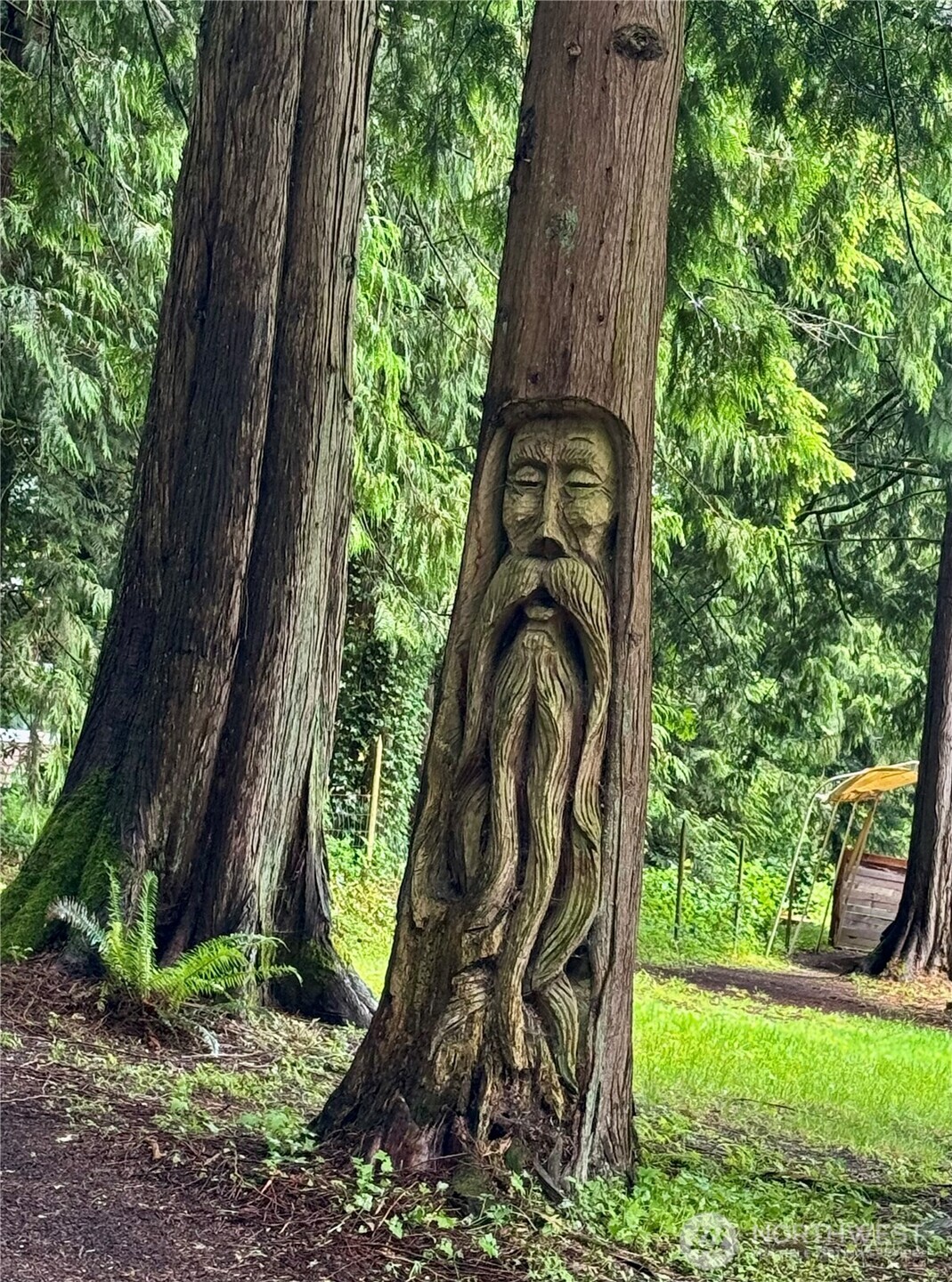 5363 Reese Hill Road Sumas, WA 98295 - Photo 40 of 40 a backyard of a house with lots of green space