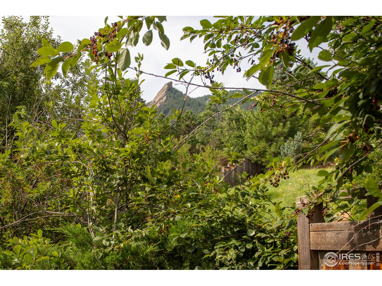 777 Willowbrook Road Boulder, CO 80302 - Photo 29 of 32 Pop-the-top and enjoy the Flatirons view!
