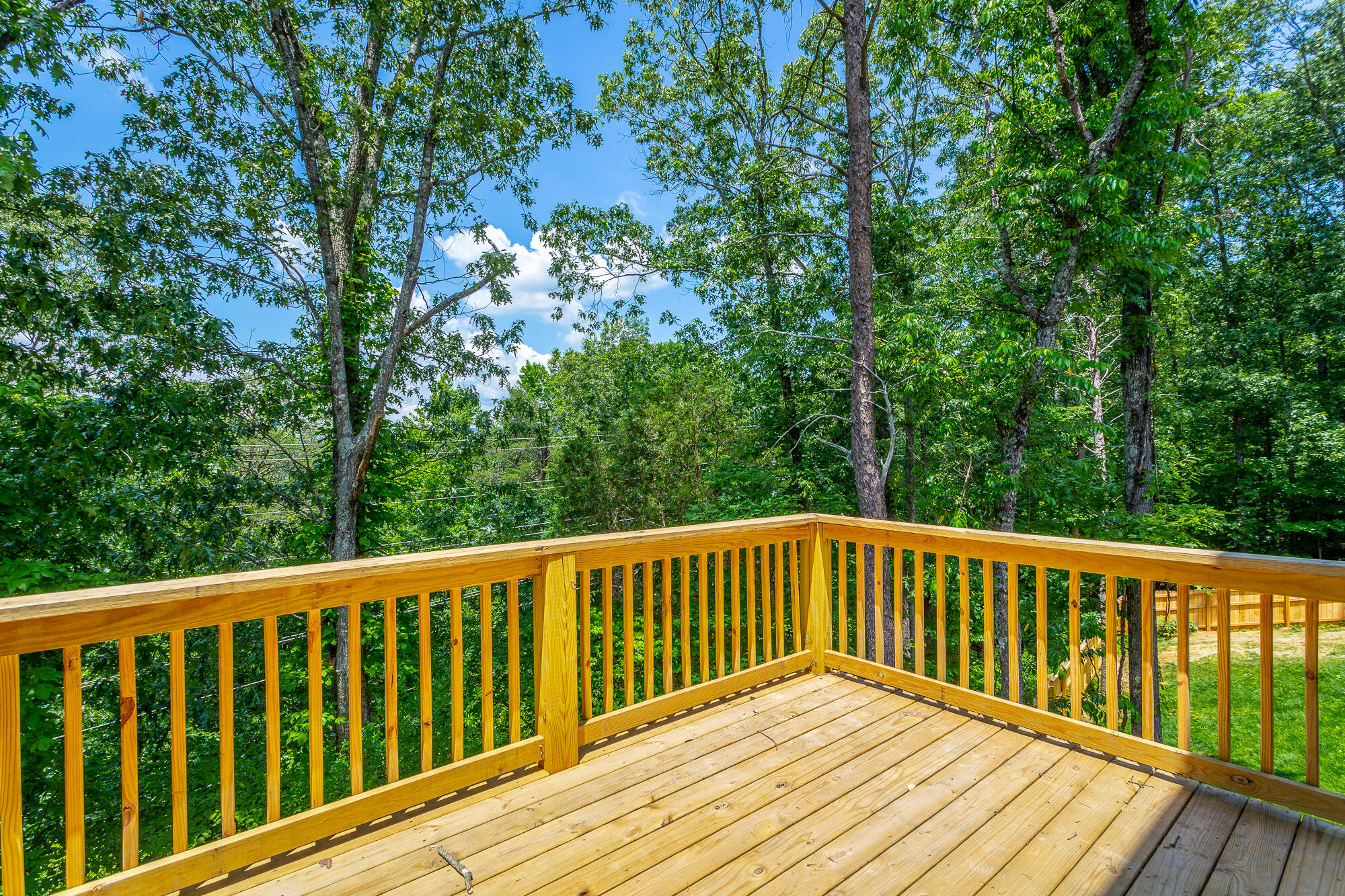 349 Whitehall Road Chattanooga, TN 37405 - Photo 45 of 62 349 Whitehall Rd. RE HD-36