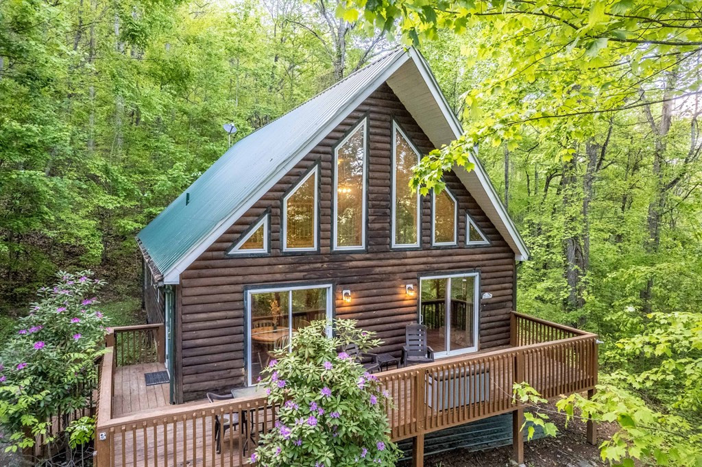 196 Meadow Road Bryson City, NC 28713 - Photo 23 of 39 Gallery Image 23