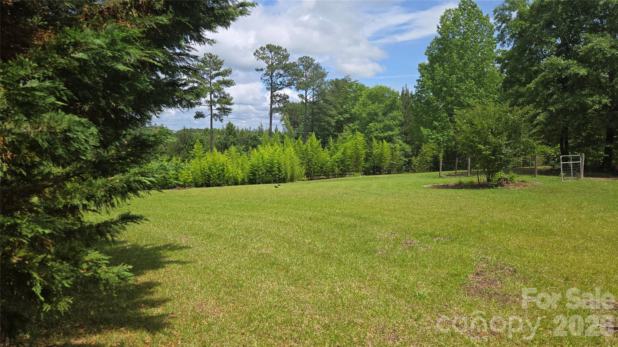 66 Misery Ridge Mill Spring, NC 28756 - Photo 2 of 9