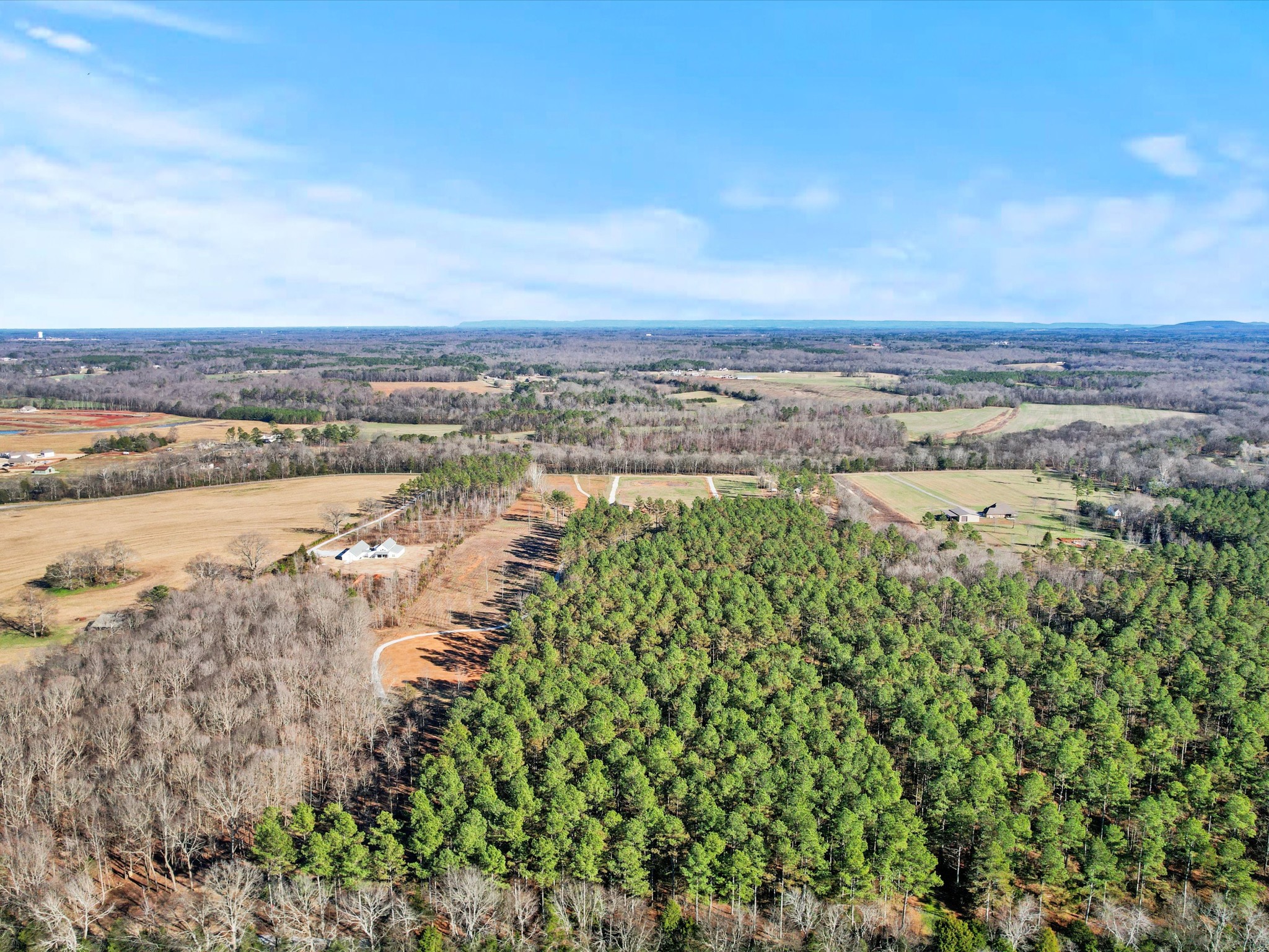 29454 Thach Road Toney, AL 35773 - Photo 30 of 36