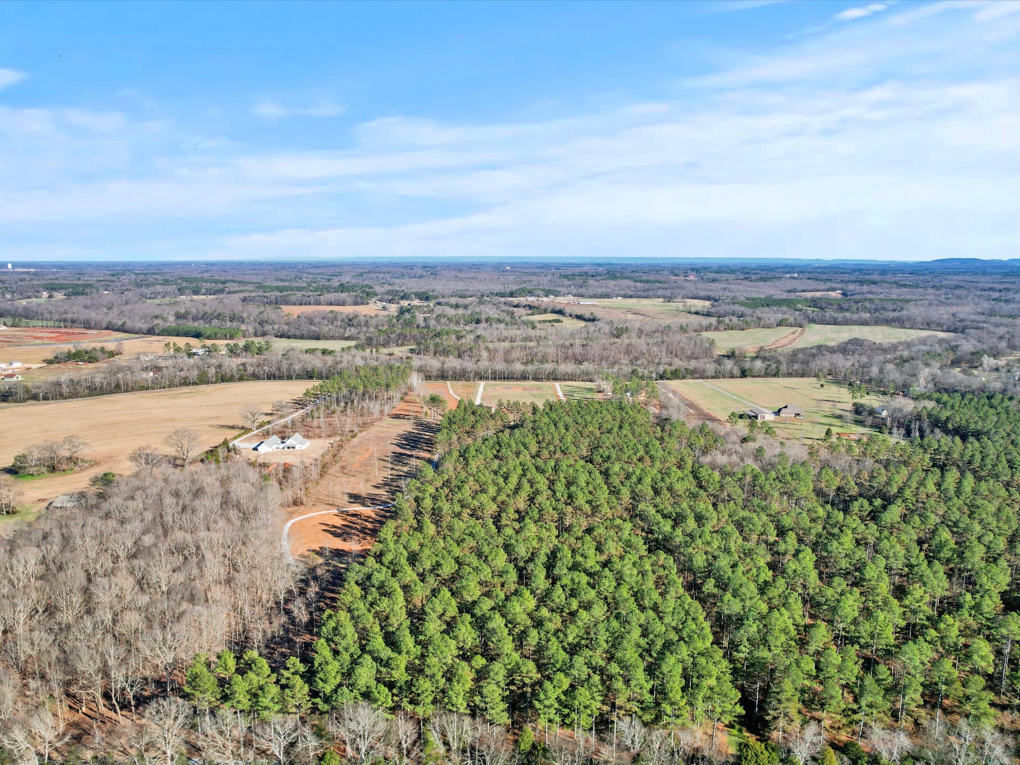 29454 Thach Road Toney, AL 35773 - Photo 31 of 36