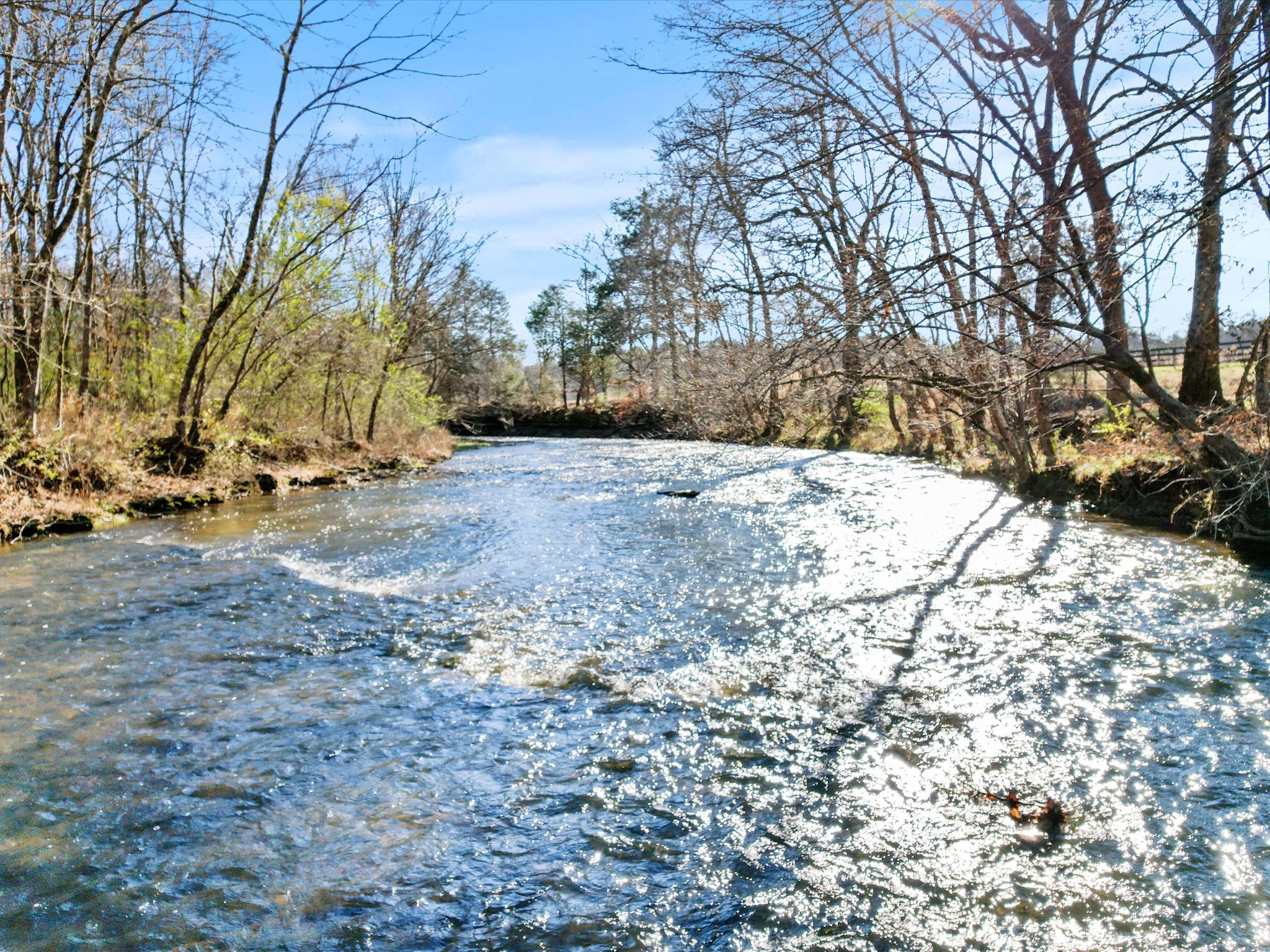 29454 Thach Road Toney, AL 35773 - Photo 34 of 36