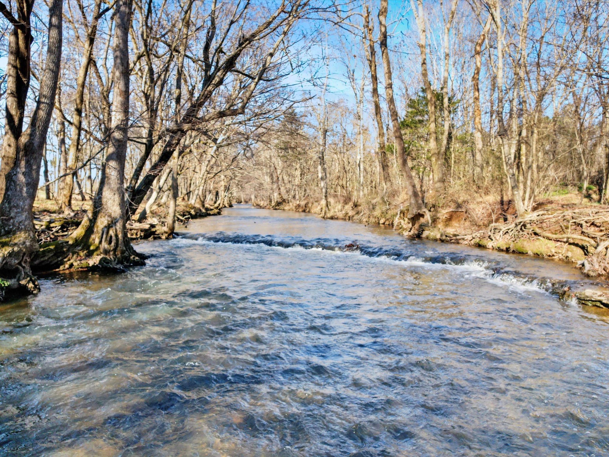 29454 Thach Road Toney, AL 35773 - Photo 35 of 36
