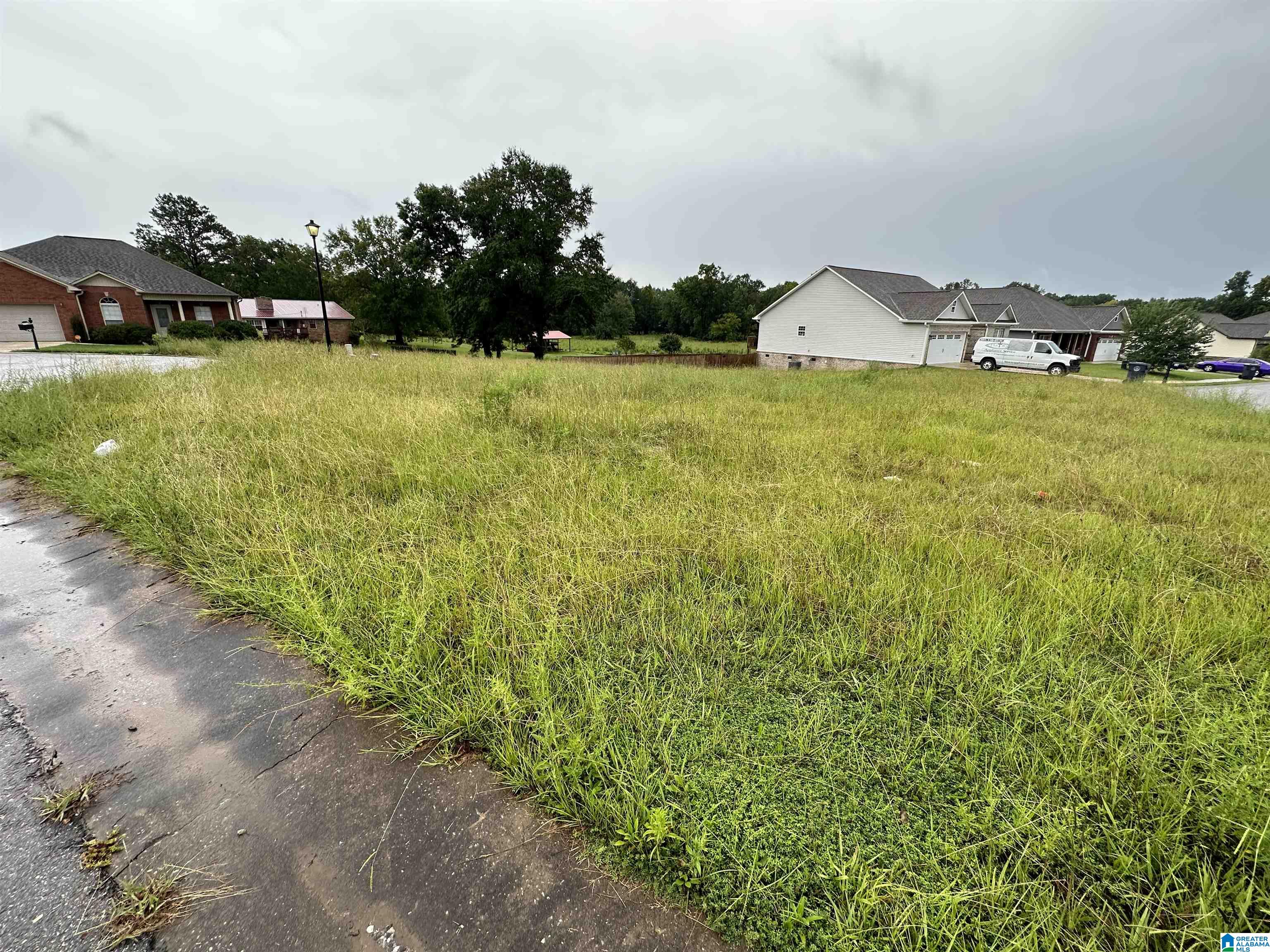 0 Camerons Way, Unit 39 Lincoln, AL 35096 - Photo 3 of 6