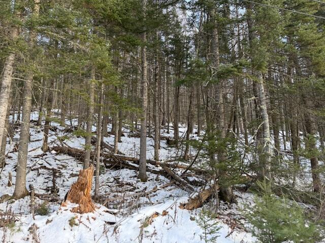 90 North Center Road Monroe, ME 04951 - Photo 1 of 11 IMG_1379
