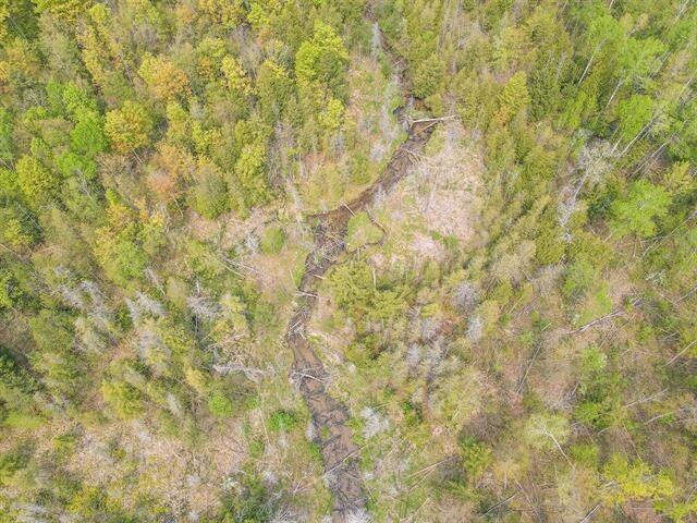 West Road Harrietta, MI 49638 - Photo 10 of 12 Gallery Image 10