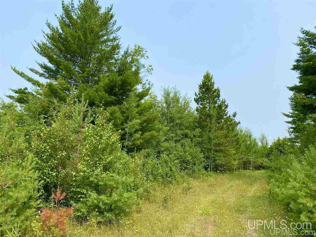 Tbd Southside Road Manistique, MI 49854 - Photo 5 of 36 Gallery Image 5
