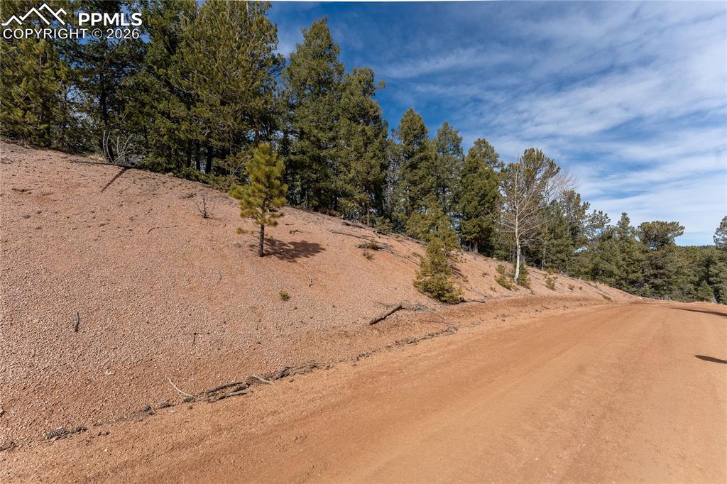 107 Haven Road Divide, CO 80814 - Photo 2 of 13 View of dirt / gravel road