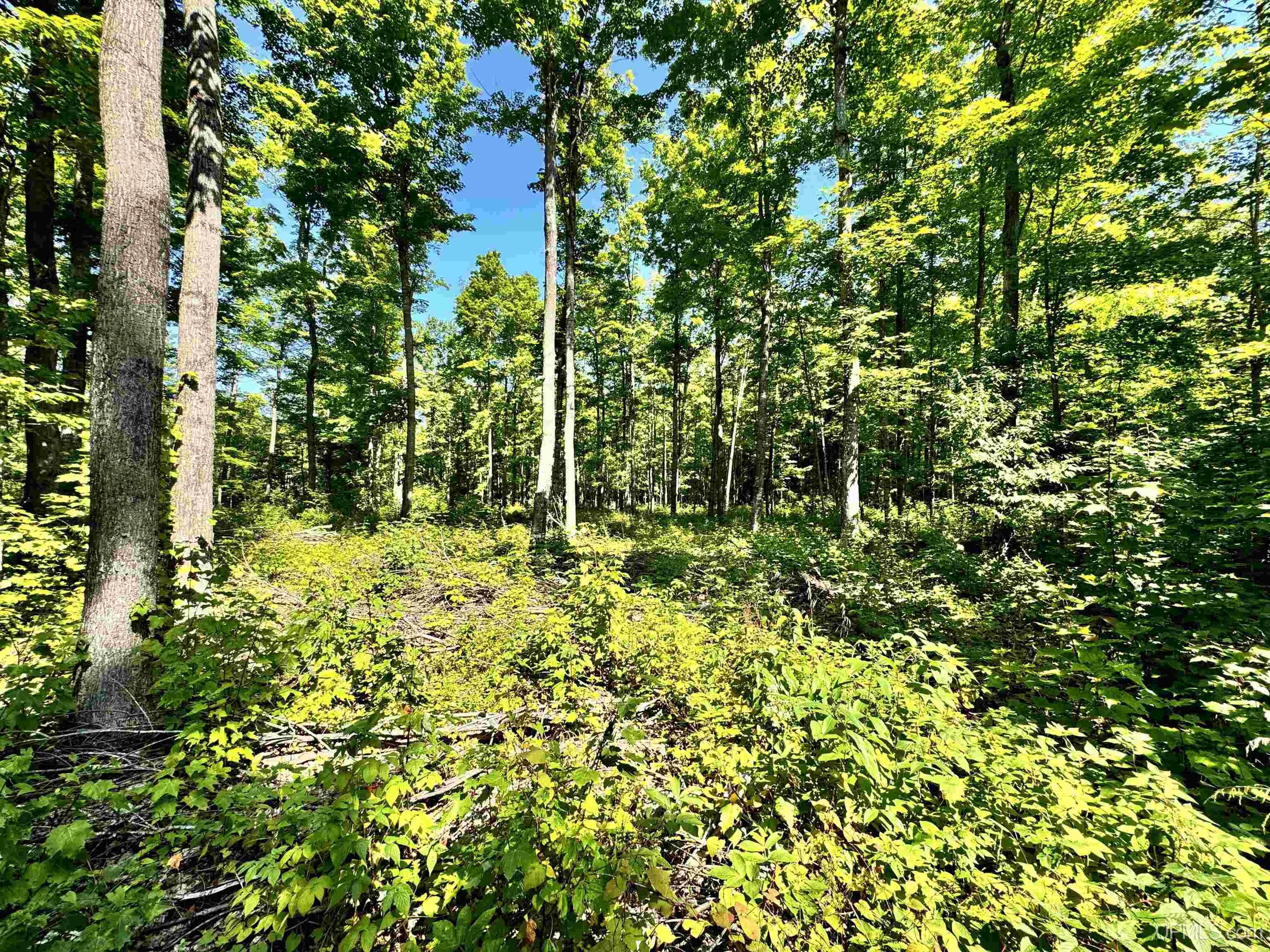 23867 Huron Road Skanee, MI 49962 - Photo 13 of 33 Gallery Image 13
