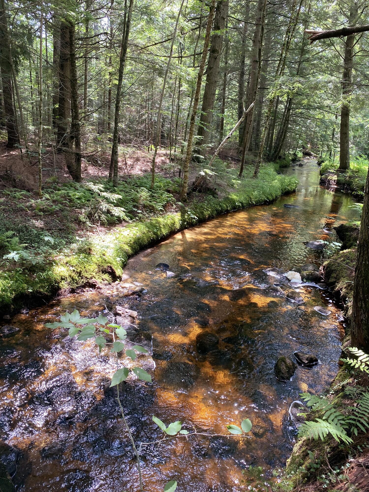 167 Valley Road Waterford, ME 04088 - Photo 25 of 29 IMG_2375