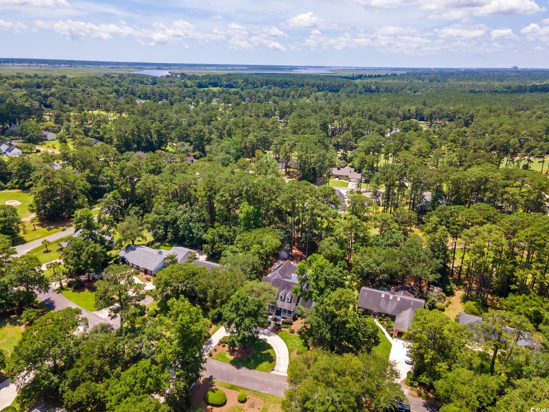 77 Captain Anthony White Lane Georgetown, SC 29440 - Photo 31 of 35