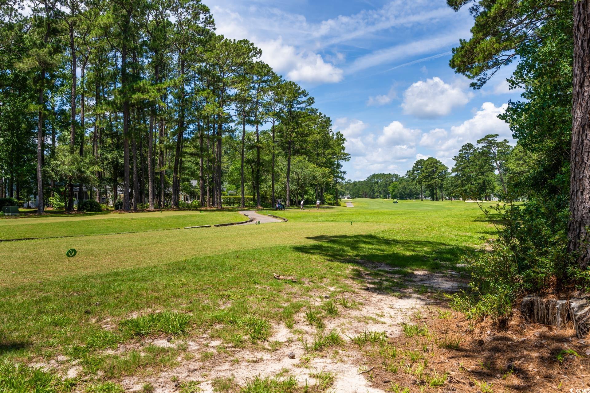 77 Captain Anthony White Lane Georgetown, SC 29440 - Photo 33 of 35