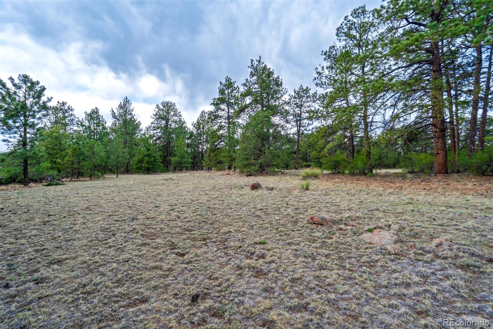 103 Doe Valley Road Guffey, CO 80820 - Photo 7 of 46