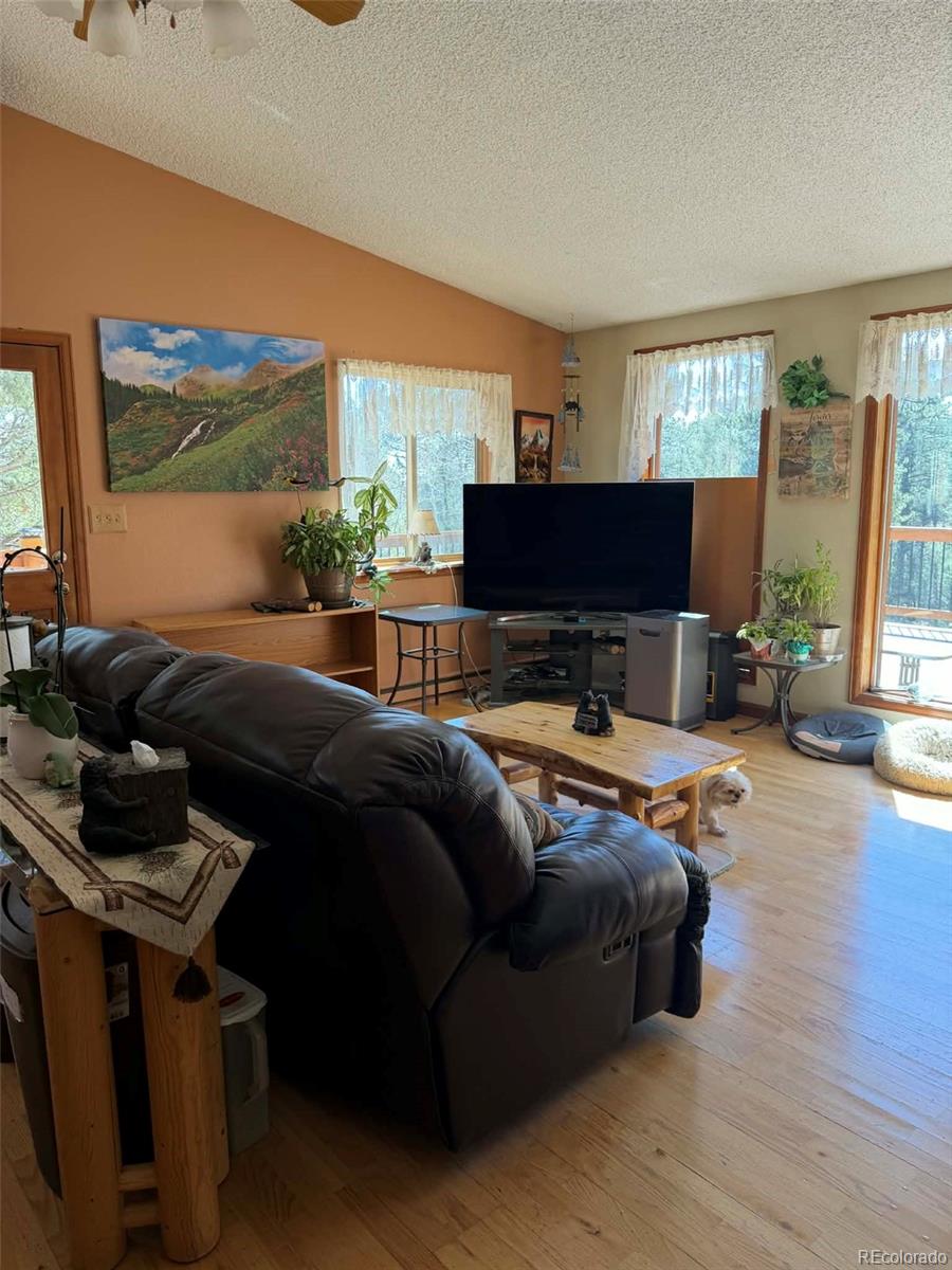 33623 Smith Road Pine, CO 80470 - Photo 16 of 47 Gallery Image 16