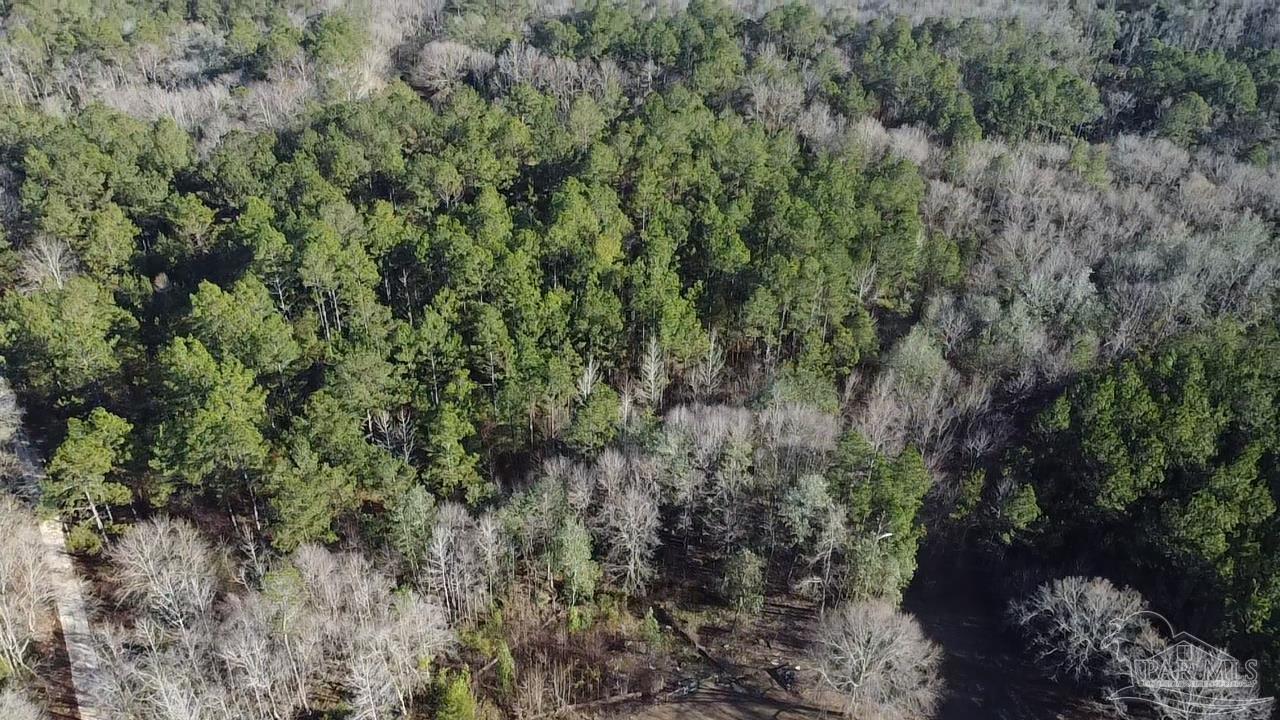 3030 Booneville Road Atmore, AL 36502 - Photo 51 of 57